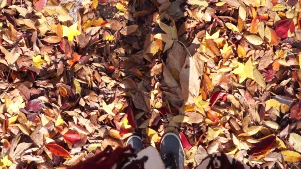 Nagoya University in Fall