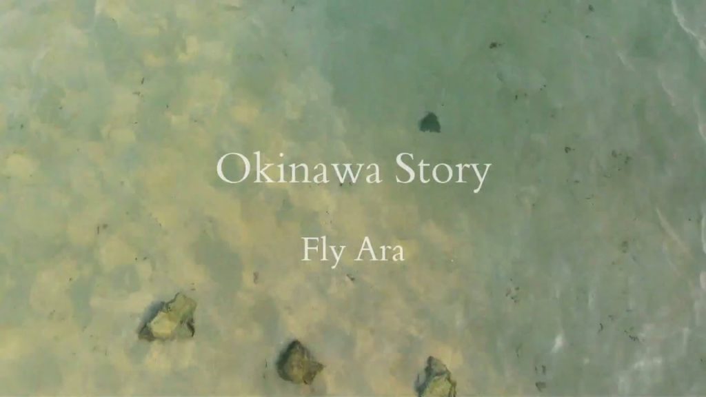 드론영상 오키나와 여행영상 Okinawa with Bebop2 drone