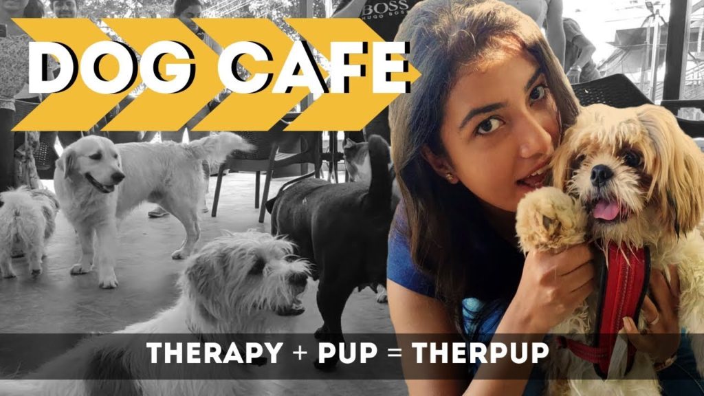 Therpup Dog Cafe | Bangalore | Whitefield | Malayalam Vlog