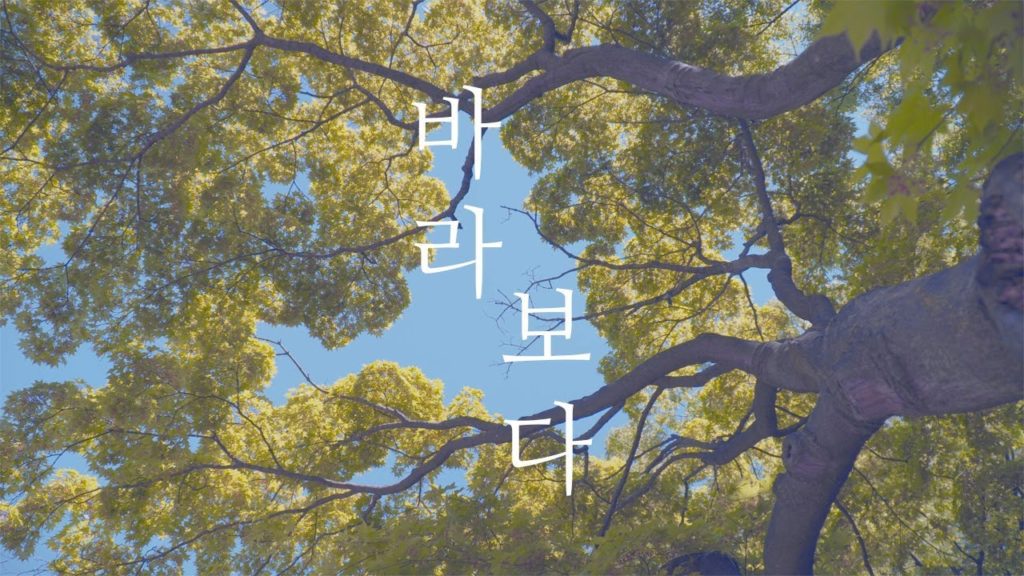 [감성영상 ASMR] #2 바라보다  🍃