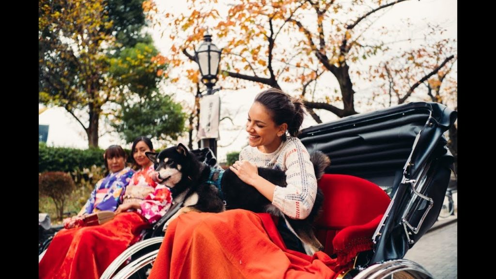 Shiba Inu Yoshi begleitet Janina Uhse durch Japan (Tokio und Kyoto Must-Sees)|JNTO