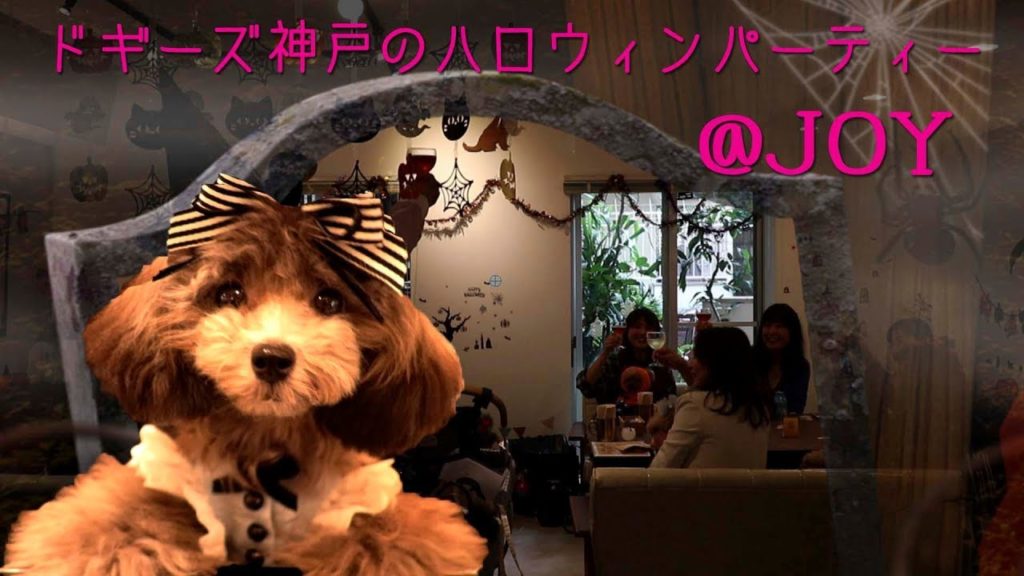 ドギーズ神戸のハロウィンパーティー2019 ＠JOY Travel Japan うろうろ兵庫