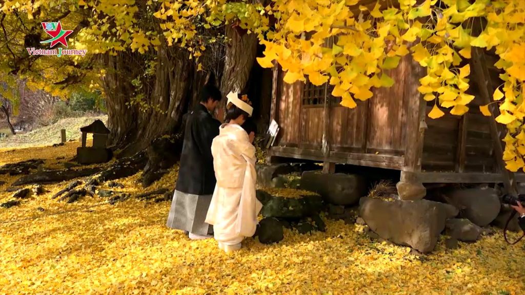 Chiêm ngưỡng báu vật mùa thu ở Nhật Bản