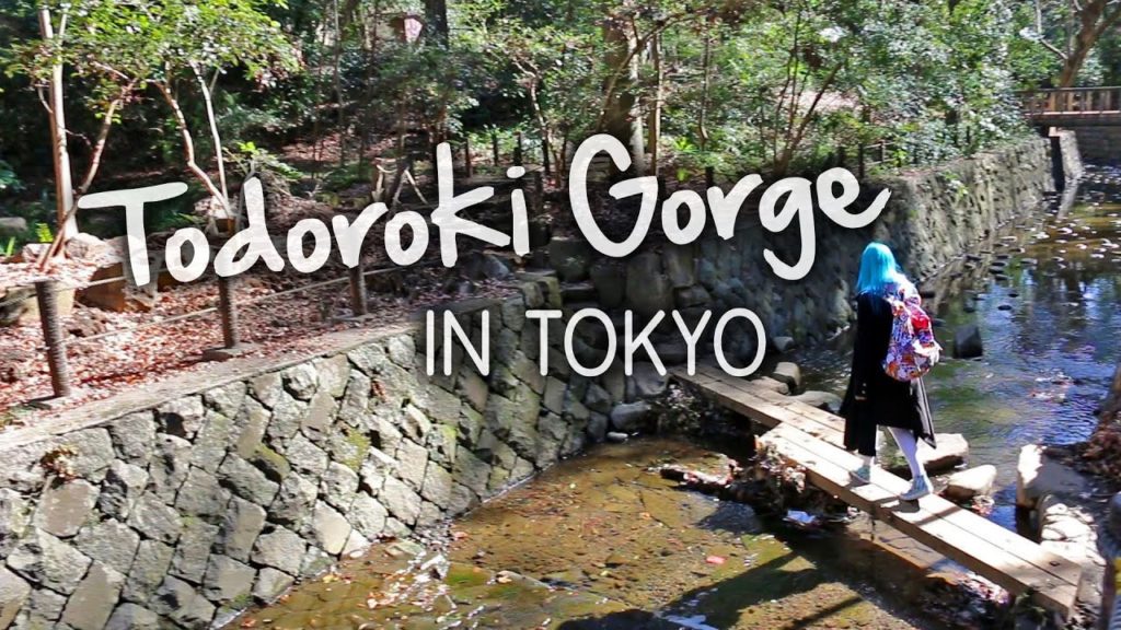BEAUTIFUL Ravine in Tokyo?! Todoroki Gorge