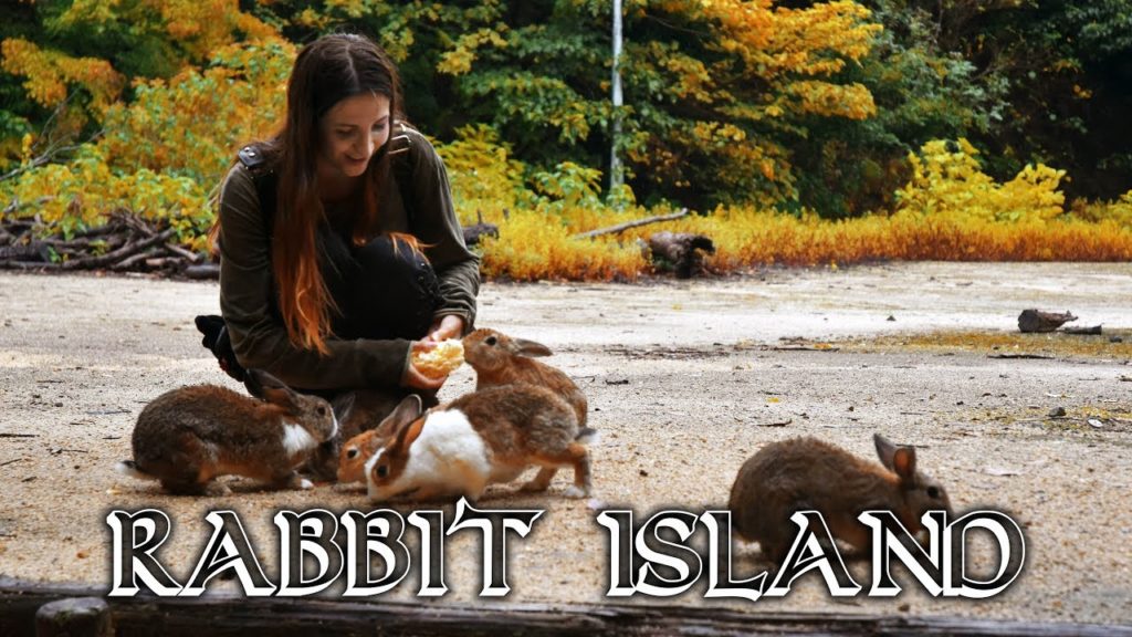 Japan's Bunny Island Japan's Bunny Island