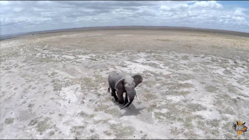 Kenya like never seen before! (drone footage)