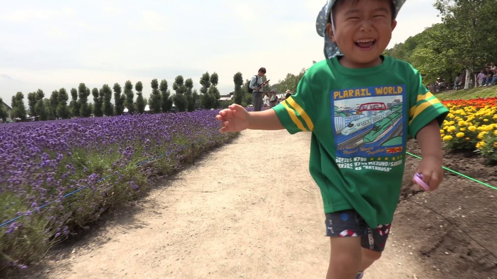 北海道・ファーム富田2018　ラベンダー園