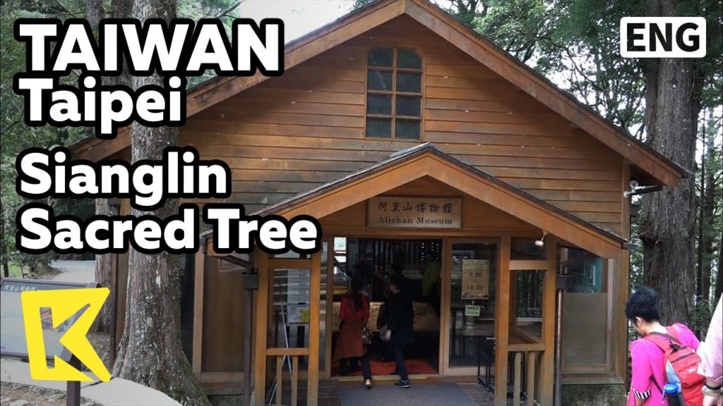 【K】Taiwan Travel-Taipei[대만 여행-타이베이]2,300년 아리산 2대 신목/Sianglin Sacred Tree/Trekking/Alishan/Museum