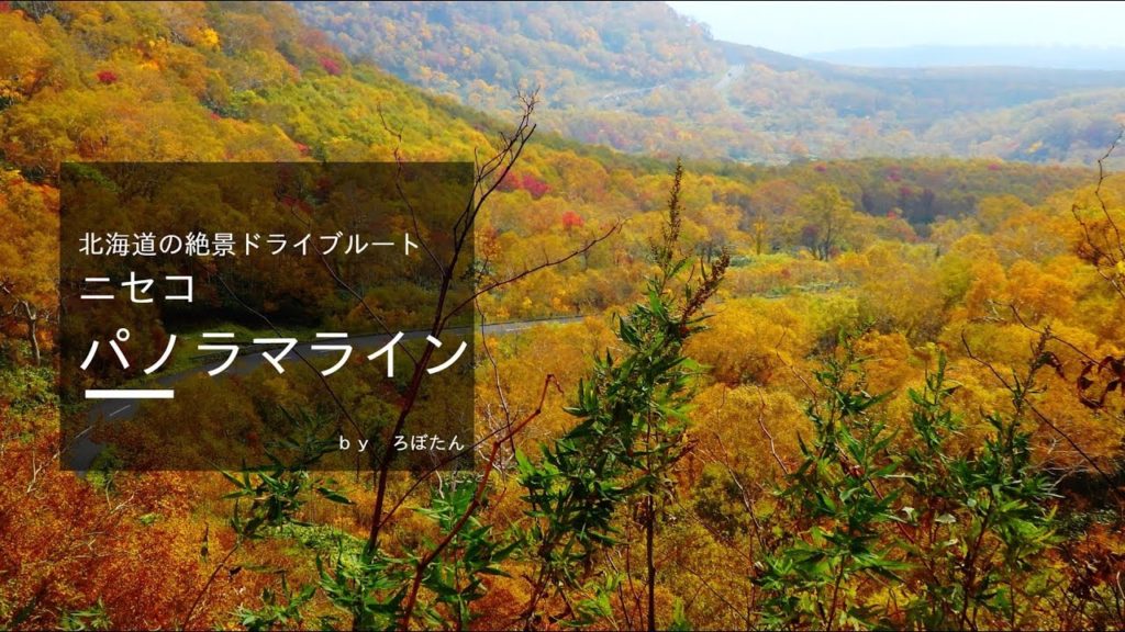 ニセコ観光するなら！北海道の絶景ドライブルート「パノラマライン」へ│LINEトラベルjp