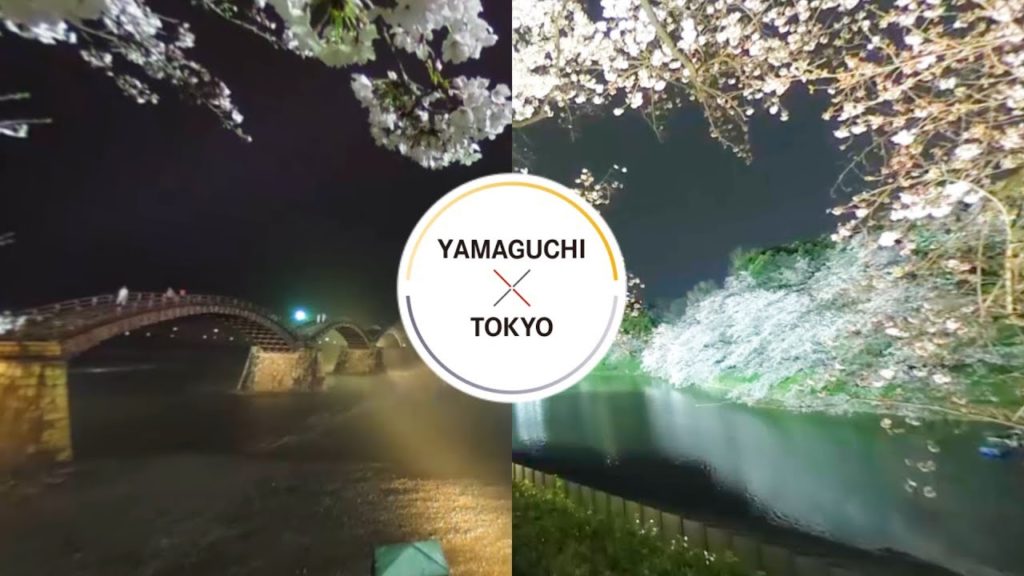 360°CHUGOKU+SHIKOKUxTOKYO - Cherry / YAMAGUCHI
