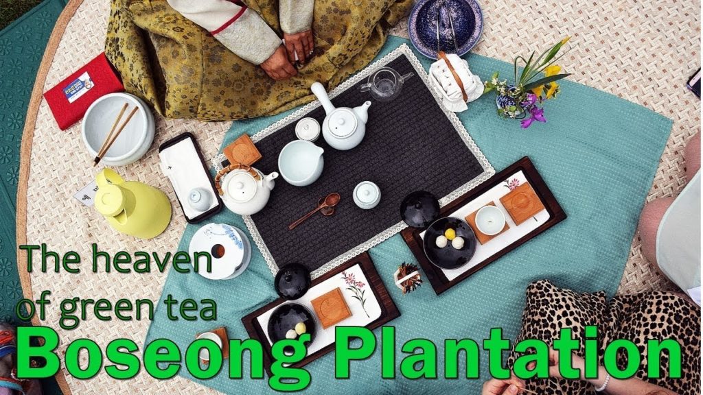Make green tea by yourself in Boseong