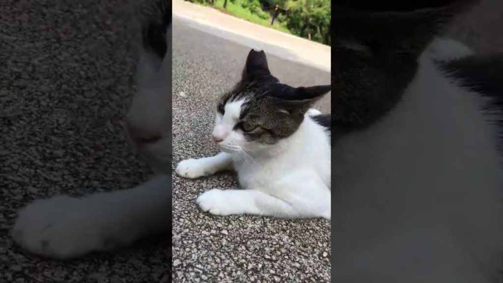 MIX 1 I 沖繩合輯 I OKINAWA , JAPAN