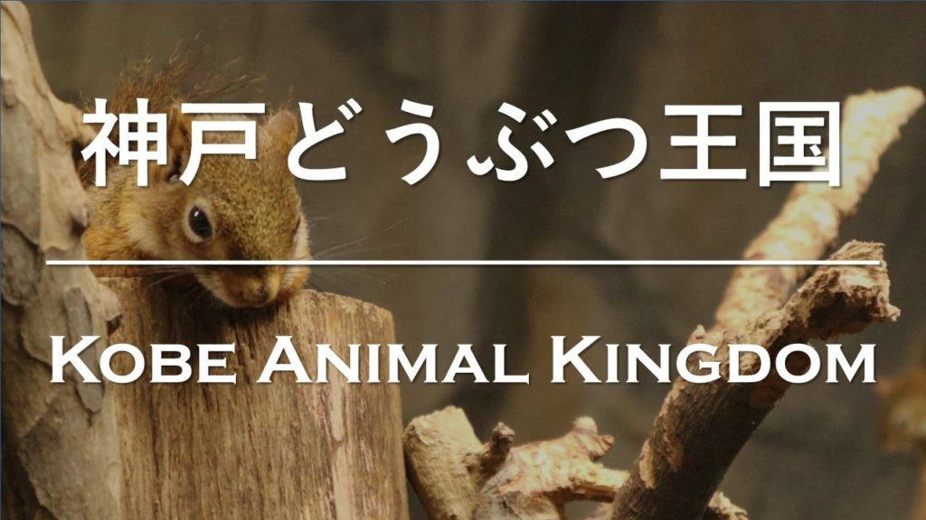 【Japanese Daily Life】#005　神戸どうぶつ王国／Kobe Animal Kingdom