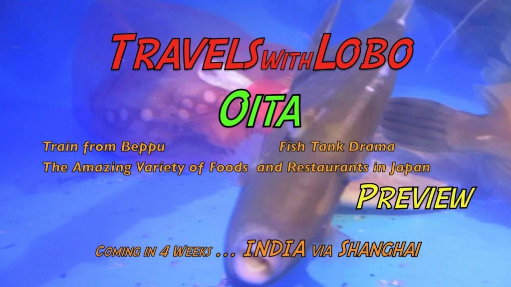 Fish Tank Drama ★ Astounding Foods and Restaurants - Oita, Kyushu