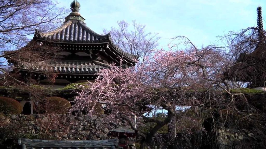 Visit Japan!