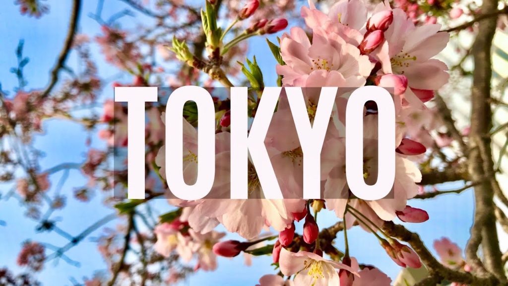 🇯🇵 First Time In Tokyo, Japan