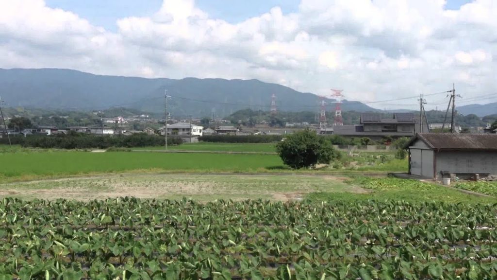 Namba Osaka to Koyasan via Wakayama, Nankai Koya Line