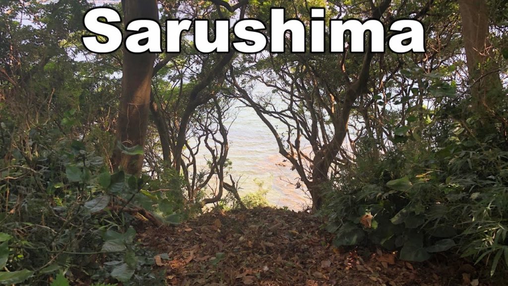 A Day at Sarushima
