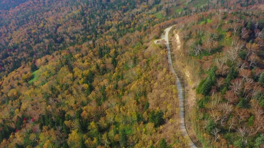 ~銀泉台~紅葉の絶景【空撮】大雪山国立公園,Autumn leaves,Ginsendai,Hokkaido,Japan ~銀泉台~紅葉の絶景【空撮】大雪山国立公園,Autumn leaves,Ginsendai,Hokkaido,Japan