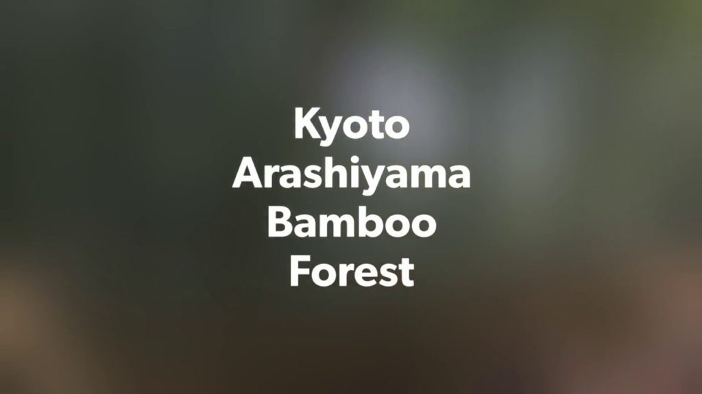 Short trip in Arashiyama bamboo forest Kyoto at 1pm weekday