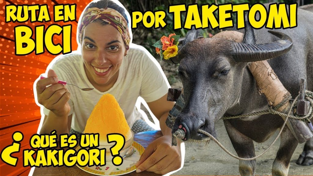 TAKETOMI y las PLAYAS de OKINAWA | JAPÓN VLOG 5