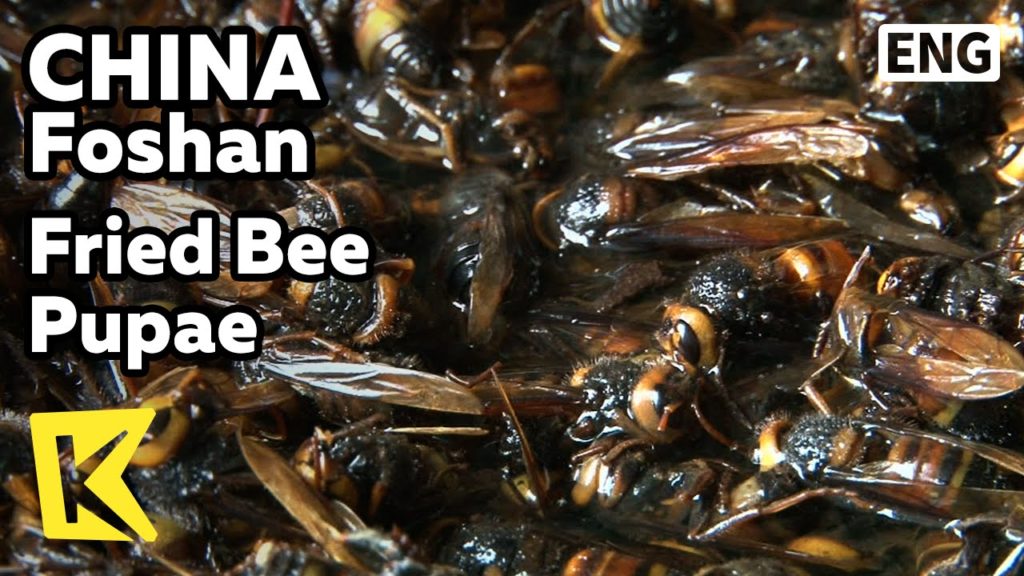 【K】China Travel-Zhuhai[중국여행-주하이]광둥요리 투어, 벌 튀김/Fried Bee Pupae/Guangdong Food