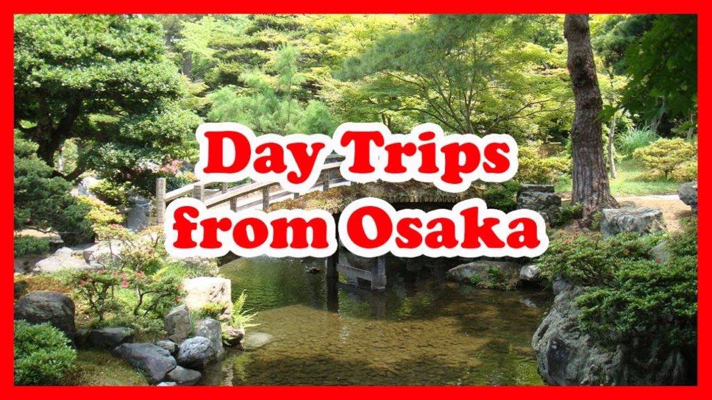 5 Top-Rated Day Trips from Osaka, Japan | Asia Day Tours Guide