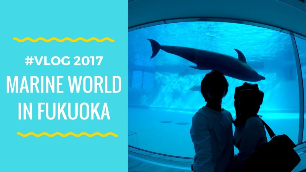 [ #DATE❣️VLOG ] MarineWorld🐬in FUKUOKA /福岡のマリンワールドデートby 桃桃