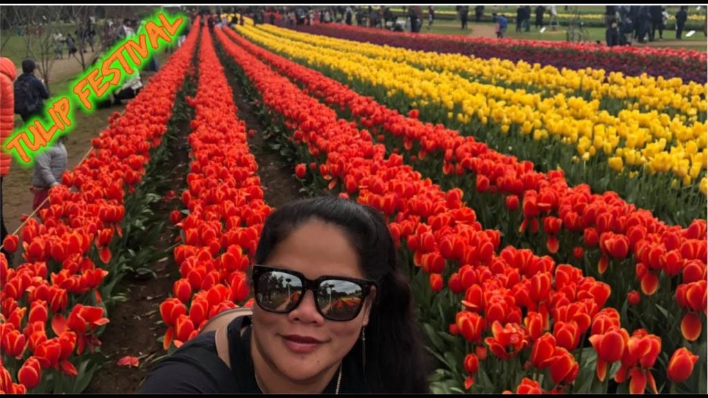 TESSELAAR TULIP FESTIVAL VICTORIA AUSTRALIA 2019