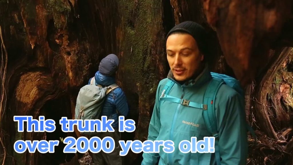 "YAKUSHIMA" - RELAXATION FOR BODY, MIND AND SOUL  / short ver.