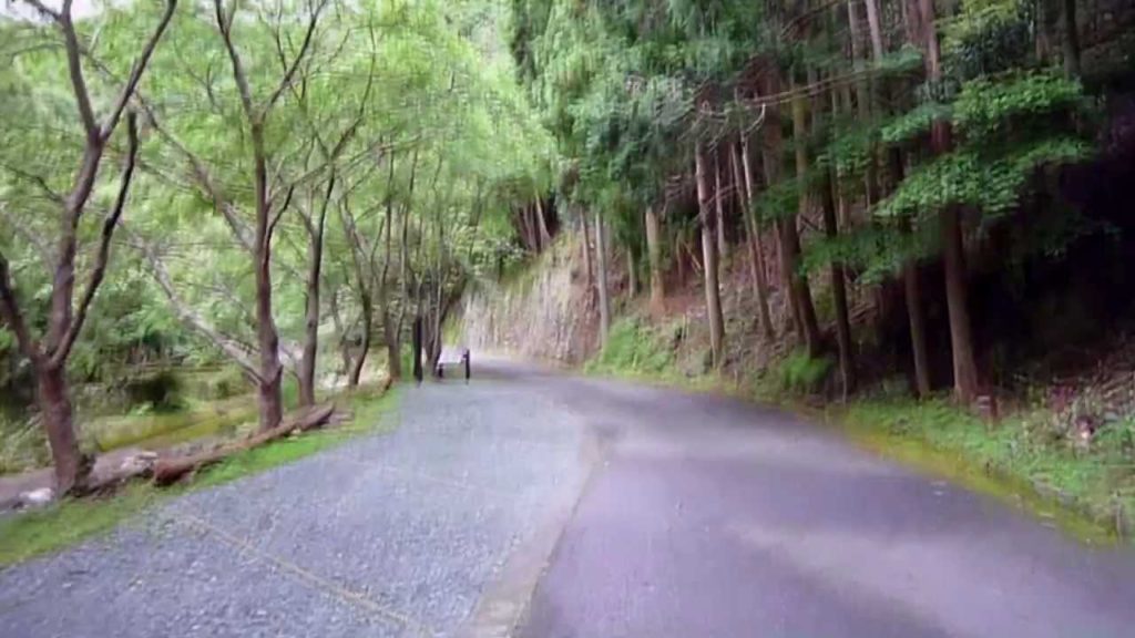 伊豆半島ジオパーク 伊豆半島最古の地　枕状溶岩　西伊豆町