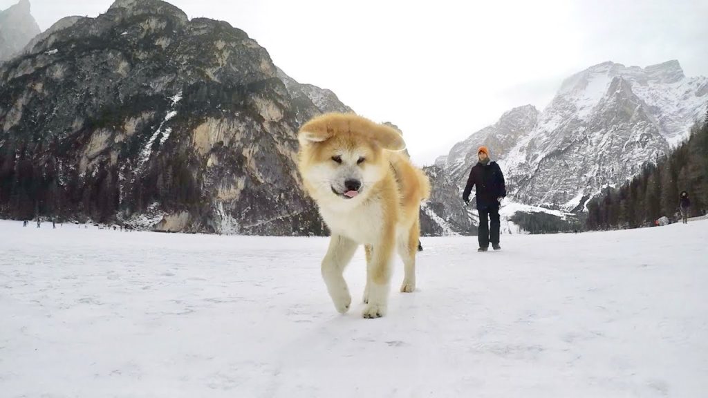 GoPro: LAGO DI BRAIES - frozen lake-