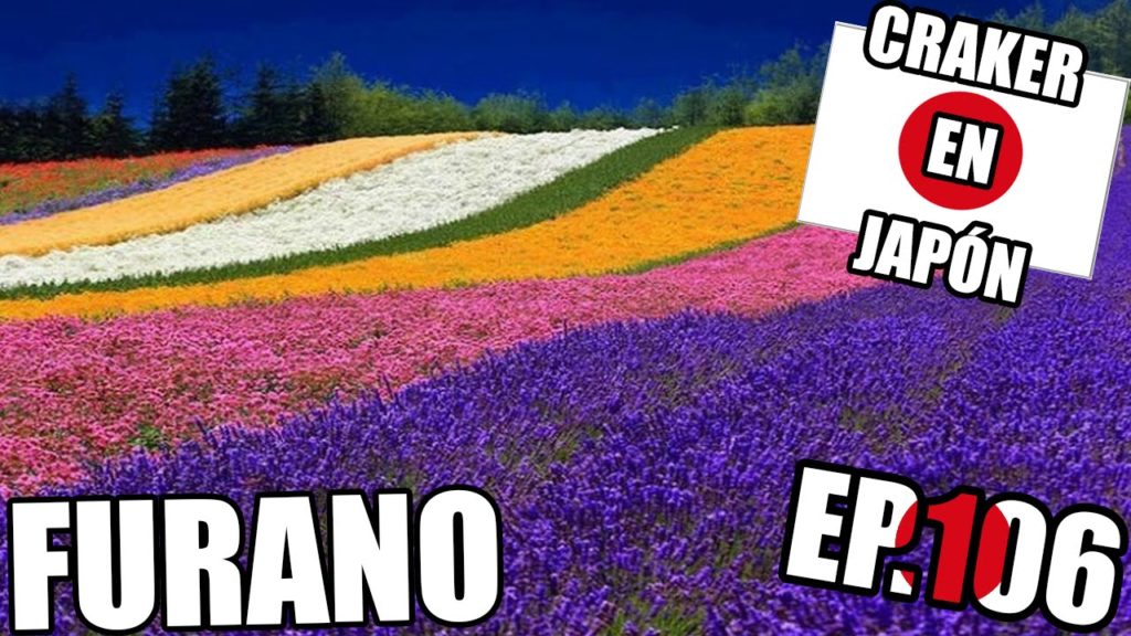 FURANO | Campos de Lavanda en la Granja Tomita | HOKKAIDO | Craker en Japón