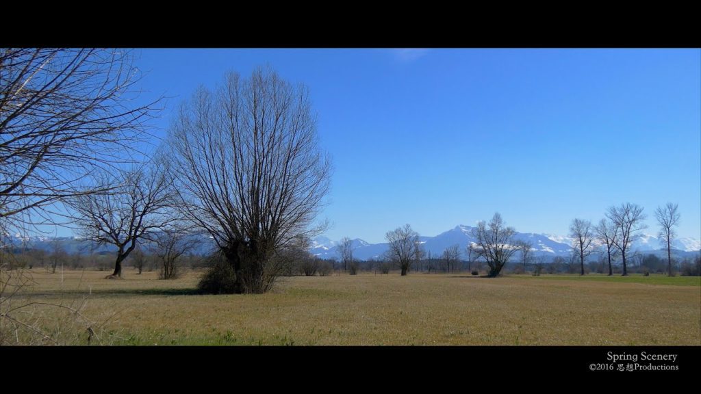 4K Spring🐝 Central SWITZERLAND 春 スイス☀️ 瑞士 4K Spring🐝 Central SWITZERLAND 春 スイス☀️ 瑞士
