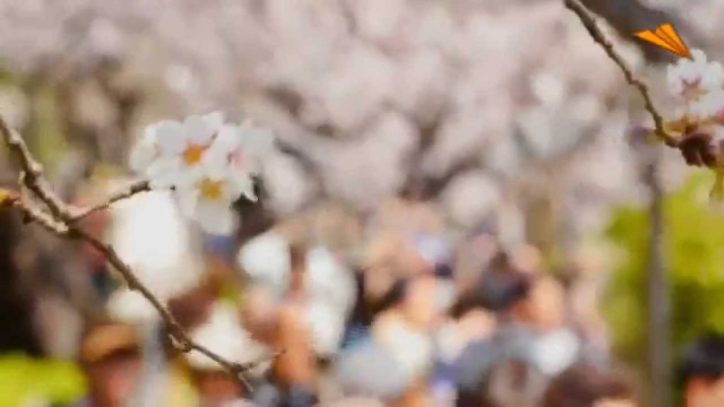 Japan Travel Guide.  All year round holiday destination