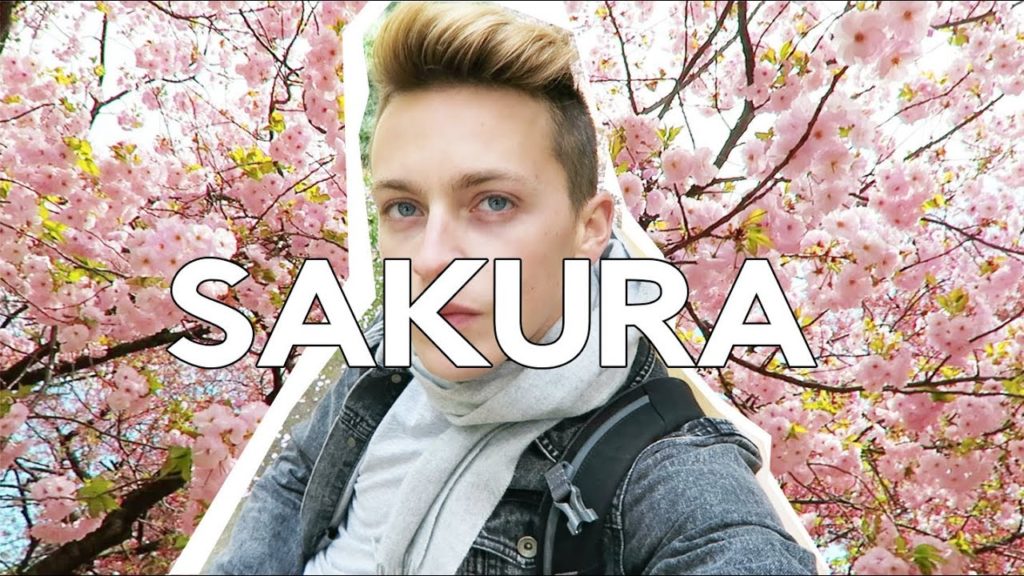 JAPANESE CHERRY BLOSSOMS | DamonAndJo