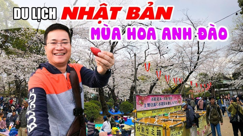 DU LỊCH NHẬT BẢN MÙA HOA ANH ĐÀO ▶ 5 ngày khám phá TOKYO, NÚI PHÚ SĨ, KOBE, KYOTO, OSAKA