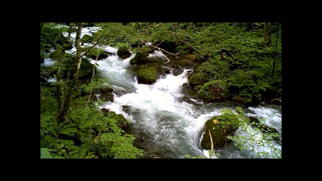 Oirase Stream in Aomori Prefecture, Japan/ 奥入瀬渓流