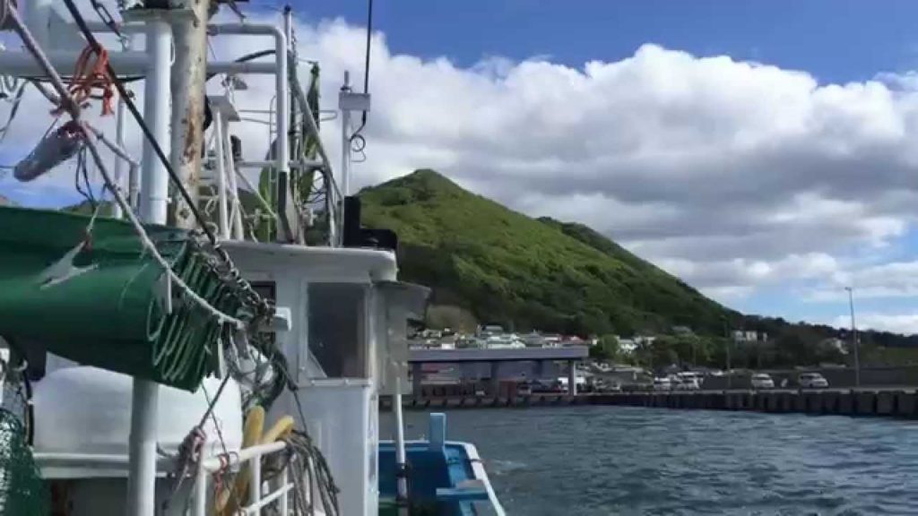 函館山の裏側ってどうなってるの？函館山漁船クルーズ！@北海道函館市 Hakodate Mt.Hakodate cruise tour! ,Hokkaido