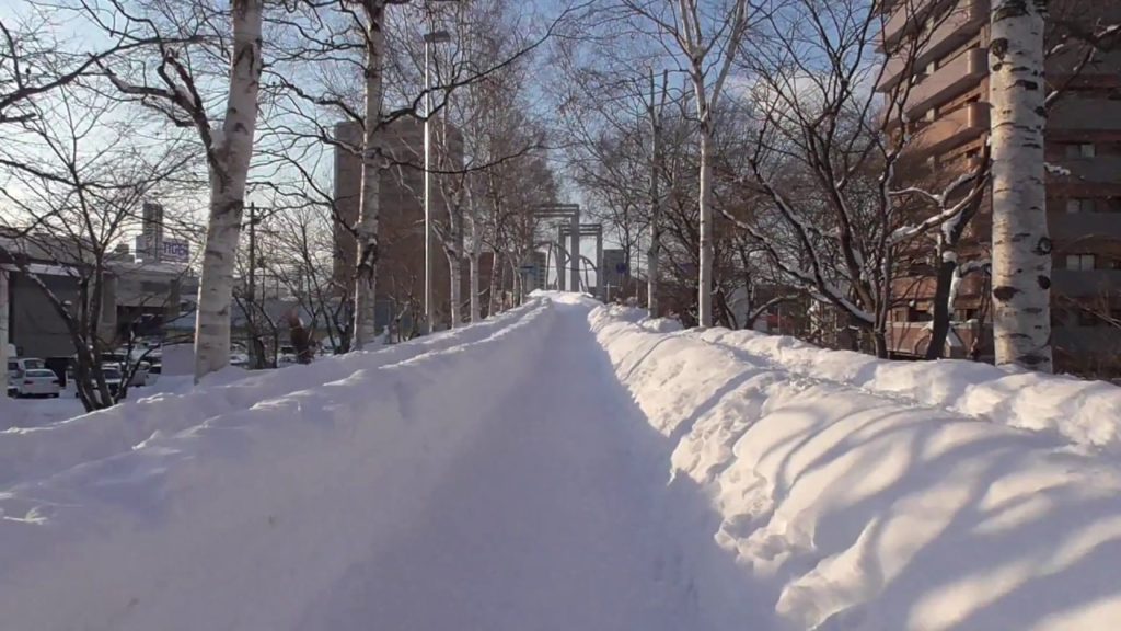 Even more snowy Sapporo Kokorodo 白石こころーど "Heart road"