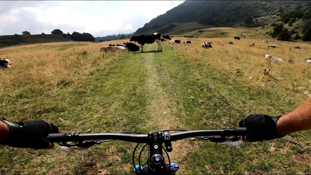 Lago di Garda, Monte Baldo, Mtb Red Trail