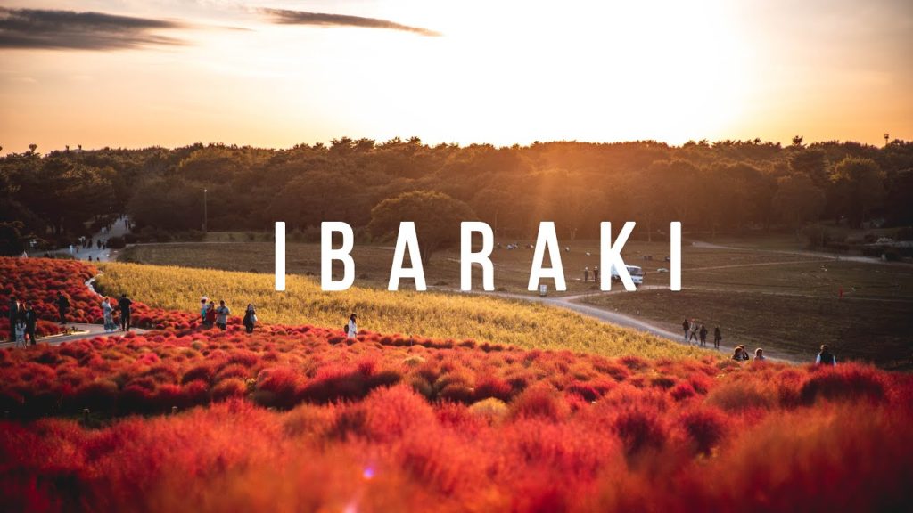 Exploring IBARAKI | JAPAN cinematic travel vlog Exploring IBARAKI | JAPAN cinematic travel vlog