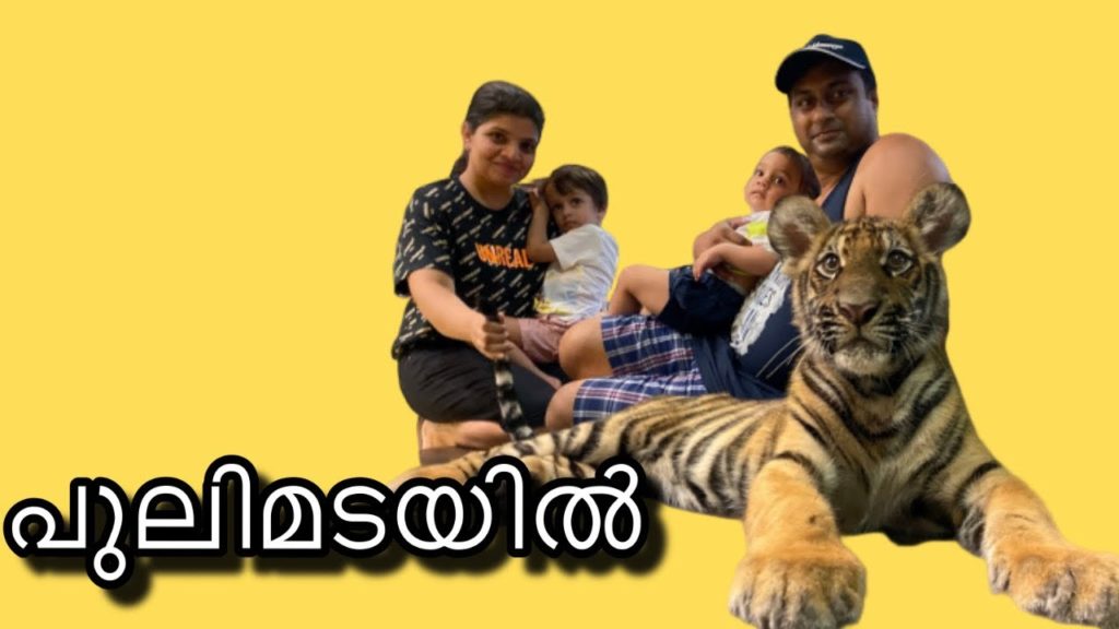 Tiger Kingdom Phuket | Thailand Travel Vlog Malayalam 2019 | Phuket Tourist Attractions