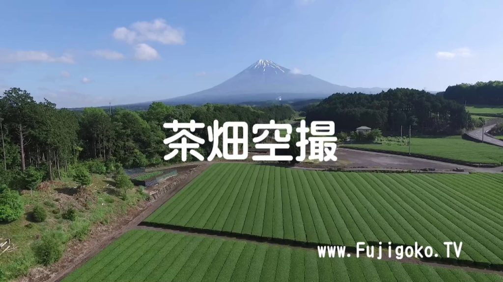 Drone video - Green Farm and Mt.Fuji.