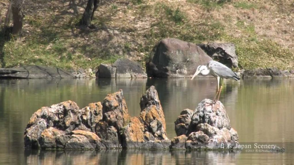 栗林公園 ・ 高松市   Ritsurin Garden,Takamatsu, JAPAN