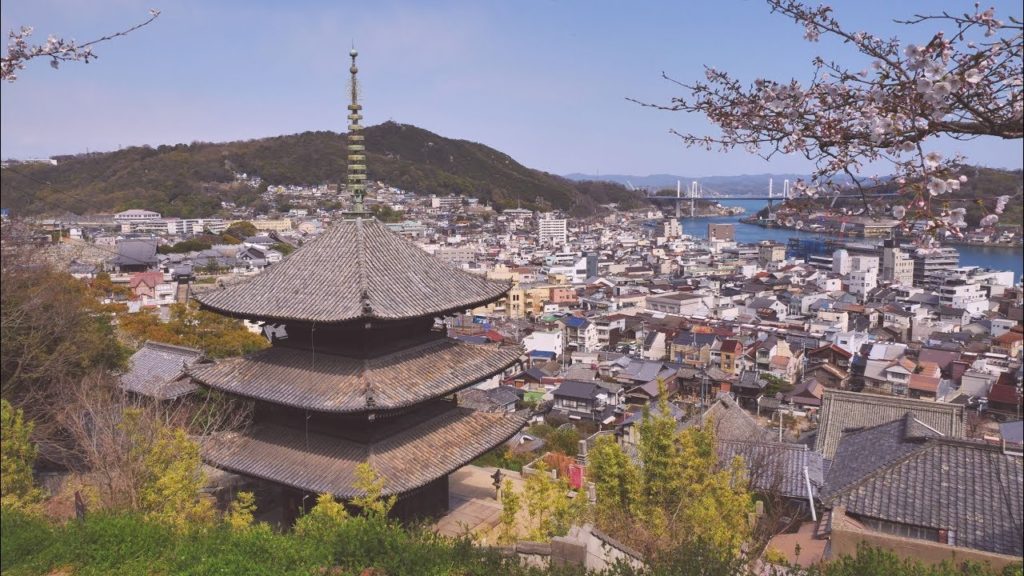 JG☆☆☆ 4K HDR 広島 尾道 千光寺公園の桜と猫の細道 Hiroshima,Onomichi Senkoji Park Sakura and Cats