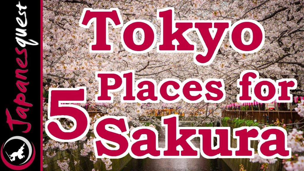 Top 5 Places to See Sakura (Cherry Blossoms) in Tokyo!