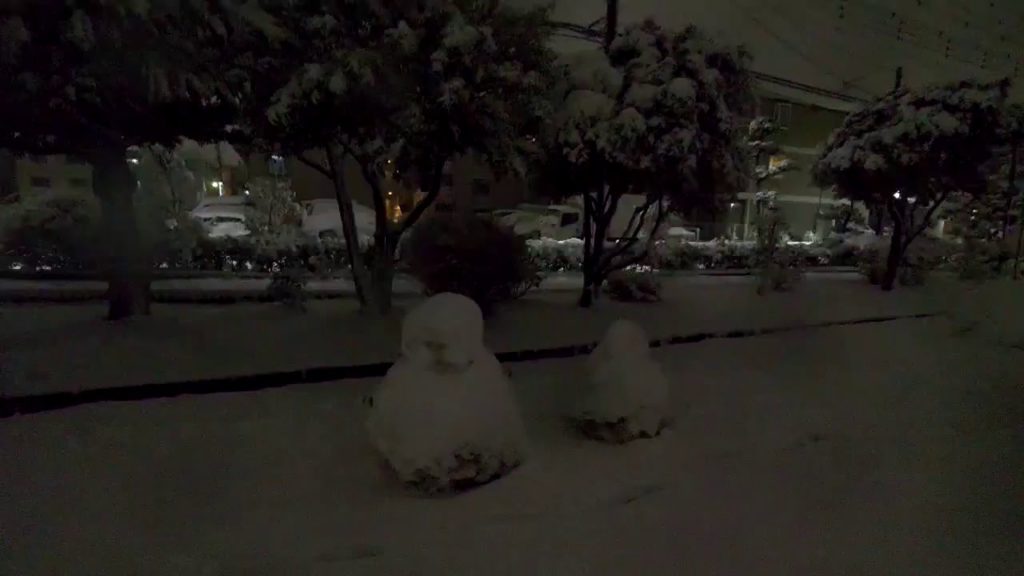 【Live】 Instant snowfall walk at night somewhere in Chiba pref