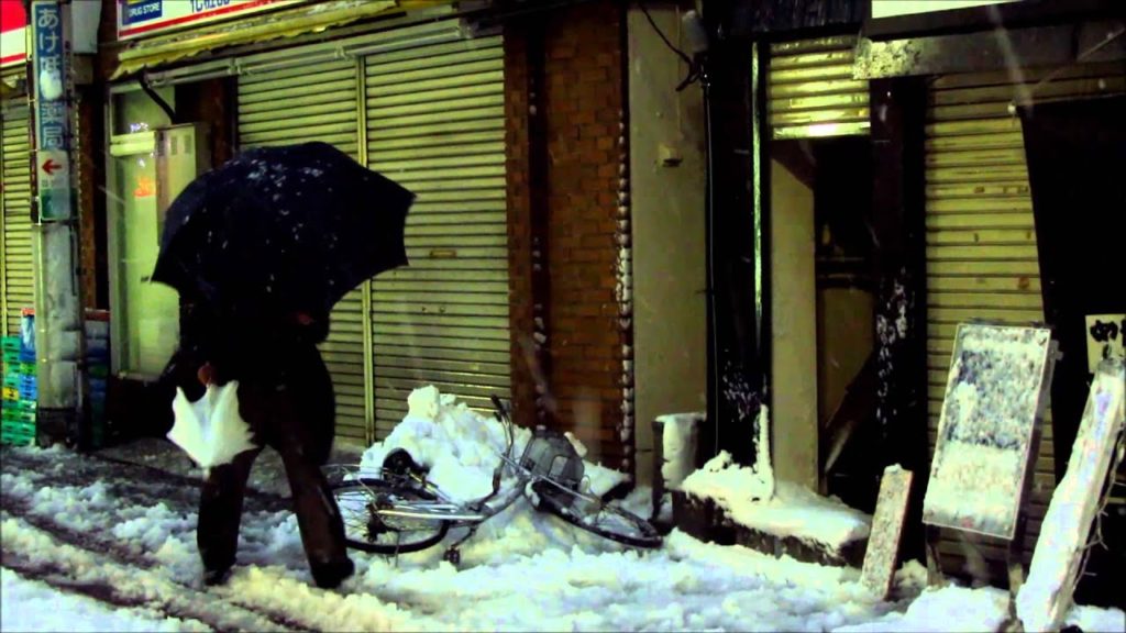 Snow in Tokyo. 東京での大雪 2013年1月14日 (Naka-Itabashi 2013)