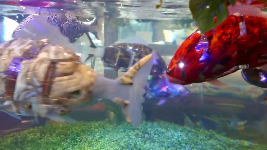 Robotic fish at Henn na Hotel Maihama Tokyo Bay [RAW VIDEO]
